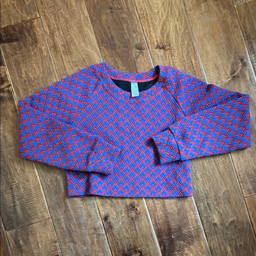 American Apparel Blue and Red Cropped Sweater